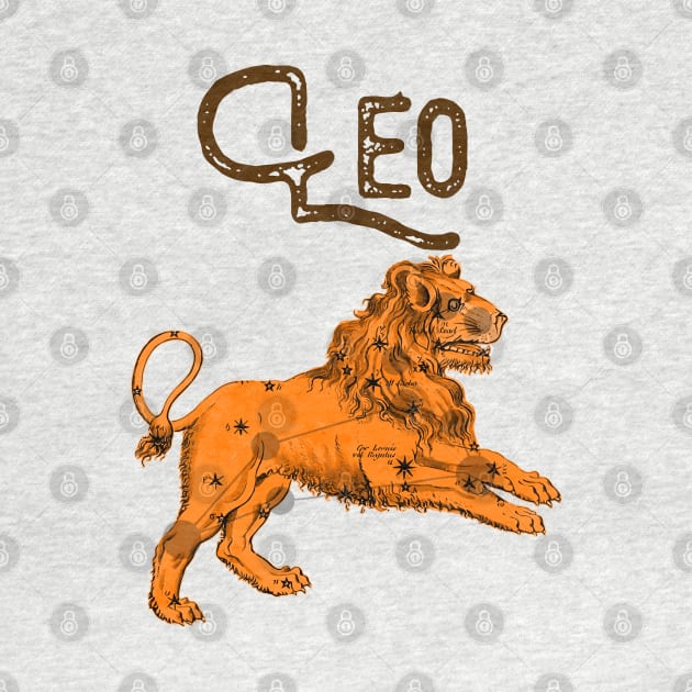 Leo ))(( Astrological Sign Zodiac Constellation Design by darklordpug